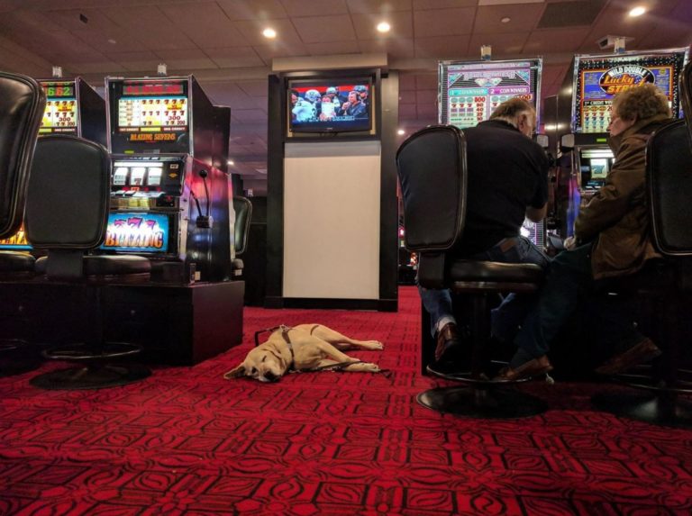 casino royale vegas footlong hot dogs